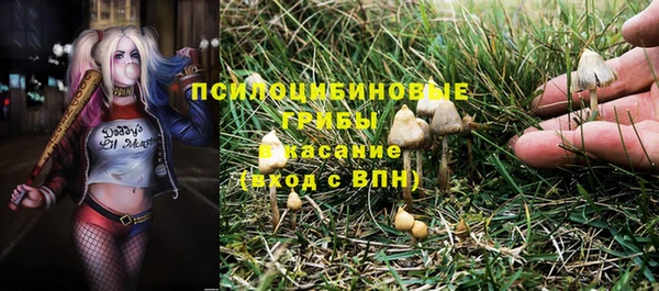 экстази Алзамай