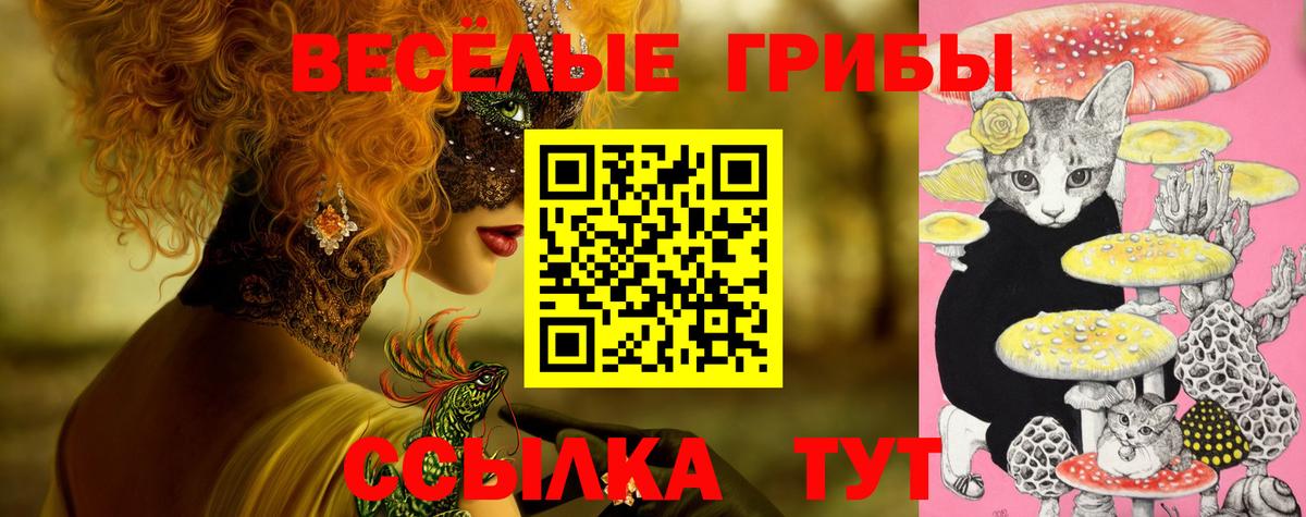 Псилоцибиновые грибы Cubensis Подольск